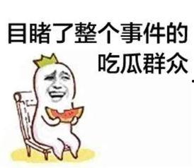 娱乐吃瓜君被告什么意思