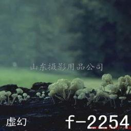 山东孟家庭背景,传承千年文化，谱写现代辉煌