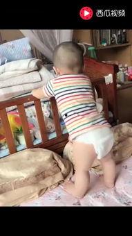 牛b超搞笑视频,萌宠牛儿上演“憨态可掬”喜剧秀