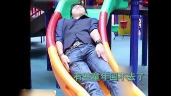 牛b超搞笑视频,萌宠牛儿上演“憨态可掬”喜剧秀