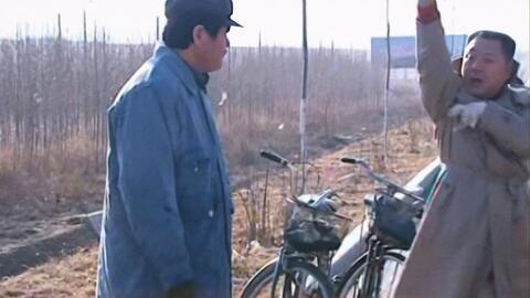 马大帅哪集最搞笑